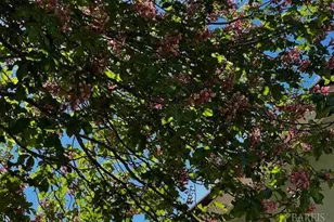 638 E Fleming Ave, Vallejo, CA 94591 - Photo 32