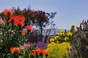 142 Poppy Ct, Bodega Bay, CA 94923 - Photo 32