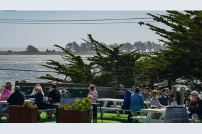 142 Poppy Court, Bodega Bay, CA 94923 - Photo 40