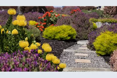 142 Poppy Court, Bodega Bay, CA 94923 - Photo 30