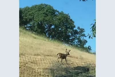 12950 Eagle Rock Road, Hopland, CA 95449 - Photo 10