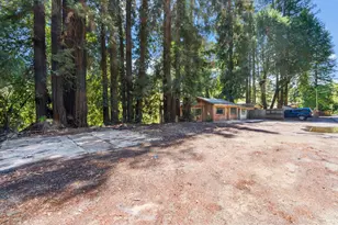 10991 River Rd, Forestville, CA 95436 - Photo 6