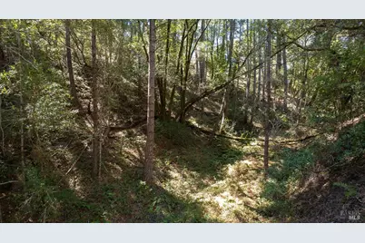 0 Vista Avenue, Forest Knolls, CA 94933 - Photo 16