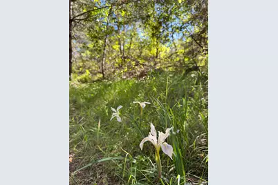 0 Vista Avenue, Forest Knolls, CA 94933 - Photo 22