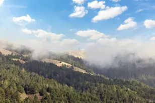 297 Seadrift Rd, Stinson Beach, CA 94970 - Photo 28