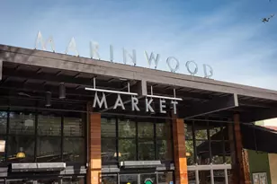 184 Cobblestone Dr, San Rafael, CA 94903 - Photo 88