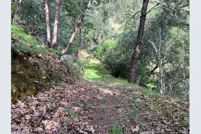 321 Portofino Way, Cloverdale, CA 95425 - Photo 54