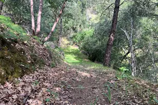 321 Portofino Way, Cloverdale, CA 95425 - Photo 54