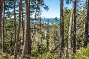 34601 S Hwy 1, Gualala, CA 95445 - Photo 18