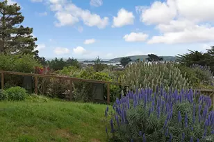 1534 Hwy 1, Bodega Bay, CA 94923 - Photo 38