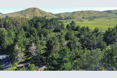 1534 Highway 1, Bodega Bay, CA 94923 - Photo 46