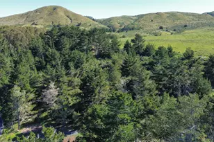 1534 Hwy 1, Bodega Bay, CA 94923 - Photo 46