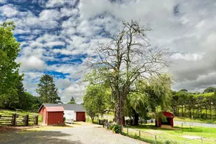 11957 Bodega Hwy, Sebastopol, CA 95472 - Photo 24