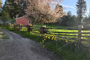 11957 Bodega Hwy, Sebastopol, CA 95472 - Photo 44