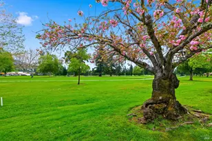 13 Fairways Dr, Napa, CA 94558 - Photo 30