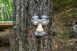 16179 Madrone Blvd, Cobb, CA 95426 - Photo 44