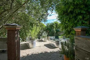 115 Myrtle Ave, San Rafael, CA 94901 - Photo 44