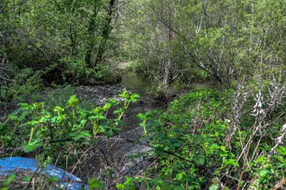 12300 Skaggs Road, Geyserville, CA 95441 - Photo 6