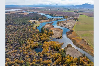 41579 Osprey Road, Fall River Mills, CA 96028 - Photo 6