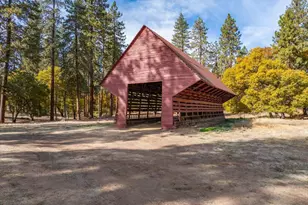 41579 Osprey Rd, Fall River Mills, CA 96028 - Photo 34