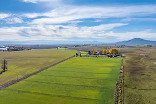 41579 Osprey Rd, Fall River Mills, CA 96028 - Photo 24