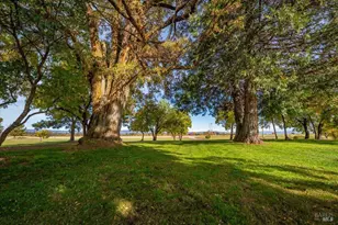 41579 Osprey Rd, Fall River Mills, CA 96028 - Photo 58