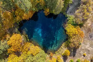 41579 Osprey Rd, Fall River Mills, CA 96028 - Photo 12