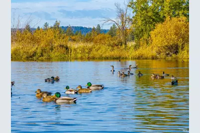 41579 Osprey Road, Fall River Mills, CA 96028 - Photo 14