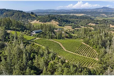 2355 W Dry Creek Road, Healdsburg, CA 95448 - Photo 6