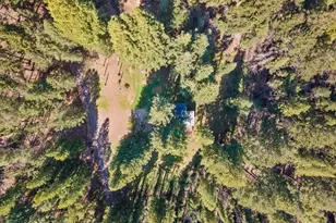 12076 Cloud Ridge Rd, Healdsburg, CA 95448 - Photo 64