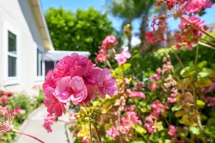 9151 Piccadilly Cir, Windsor, CA 95492 - Photo 28