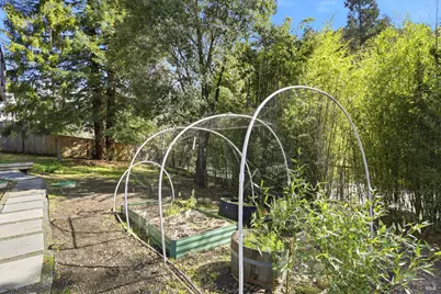 10 Pedrini Way, Lagunitas, CA 94938 - Photo 30