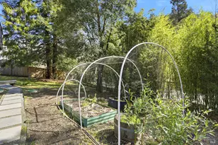 10 Pedrini Wy, Lagunitas, CA 94938 - Photo 30