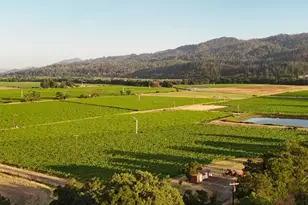 4405 Silverado Trail, Calistoga, CA 94515 - Photo 74