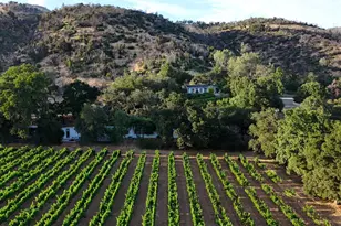 4405 Silverado Trail, Calistoga, CA 94515 - Photo 70