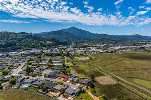 17 Channel Dr, Corte Madera, CA 94925 - Photo 42