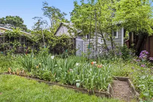 31 Rowland Ct, San Anselmo, CA 94960 - Photo 22