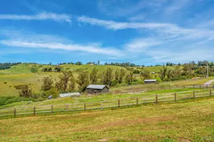 4707 Bloomfield Rd, Petaluma, CA 94952 - Photo 8