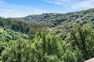 343 Carrera Dr, Mill Valley, CA 94941 - Photo 40