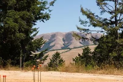 70 Fox Drive, Inverness, CA 94956 - Photo 28