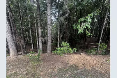 1572 Camellia Place, Willits, CA 95490 - Photo 1