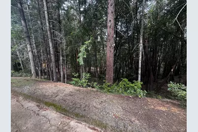 1572 Camellia Place, Willits, CA 95490 - Photo 2