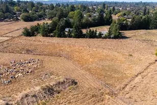 3790 Hwy 116 S Hwy, Sebastopol, CA 95472 - Photo 2