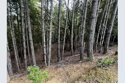 1921 Clover Drive, Willits, CA 95490 - Photo 6