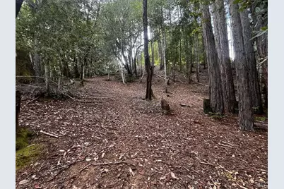 1921 Clover Drive, Willits, CA 95490 - Photo 2