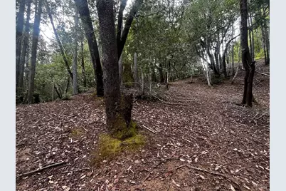 1921 Clover Drive, Willits, CA 95490 - Photo 1