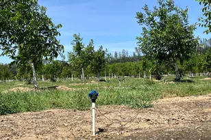 18525 Farquhar Rd, Cottonwood, CA 96022 - Photo 28