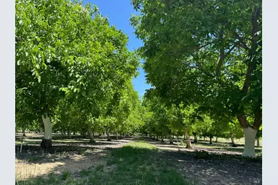 18525 Farquhar Road, Cottonwood, CA 96022 - Photo 24