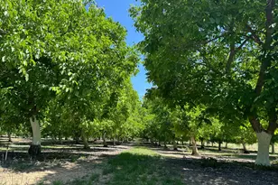 18525 Farquhar Rd, Cottonwood, CA 96022 - Photo 24