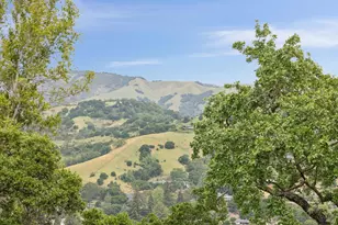 290 Stuyvesant Dr, San Anselmo, CA 94960 - Photo 46